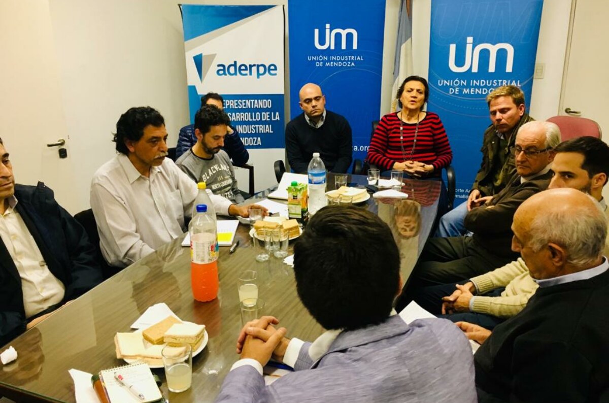 El Clúster Energético Mendoza conformó la Mesa Académica junto a las universidades locales públicas y privadas